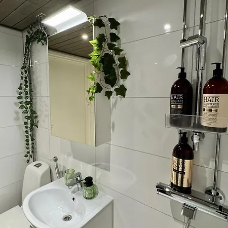 Cozy One-bedroom With Sauna And Forest View Apartament Rovaniemi