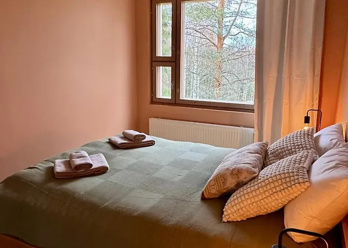 Apartment Cozy One-bedroom With Sauna And Forest View